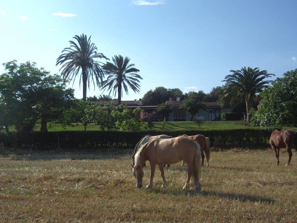 Santa Igia - Country House Bed and Breakfast Elmas Esterno foto